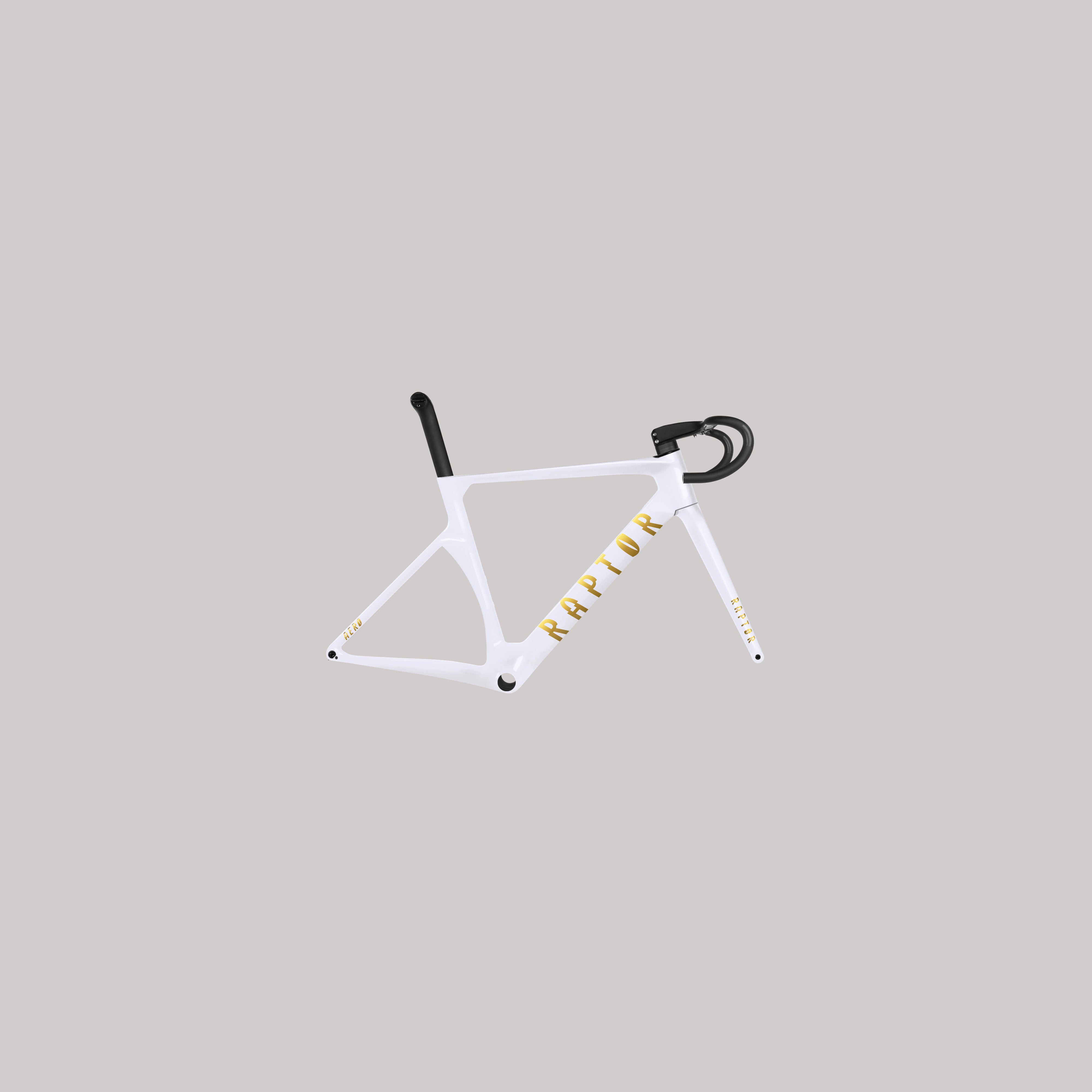 Frame-Set | Raptor Bikes