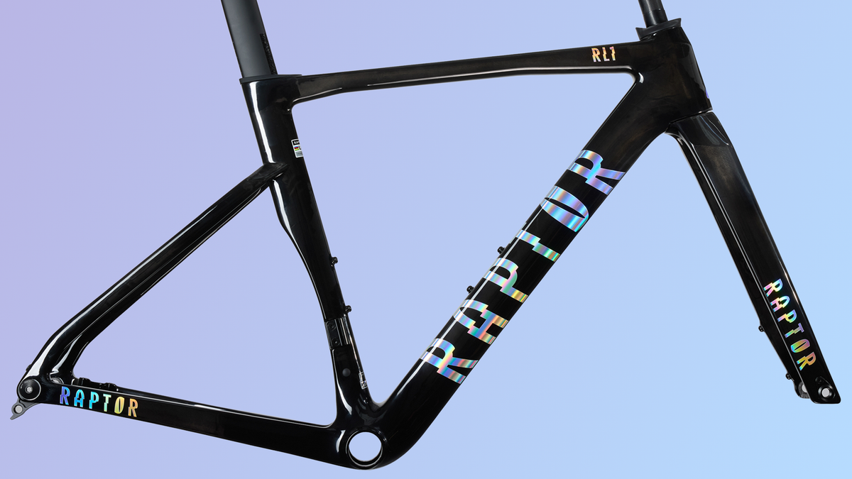 Raptor Bikes — London | Engineered seriously. Enjoyed freely.