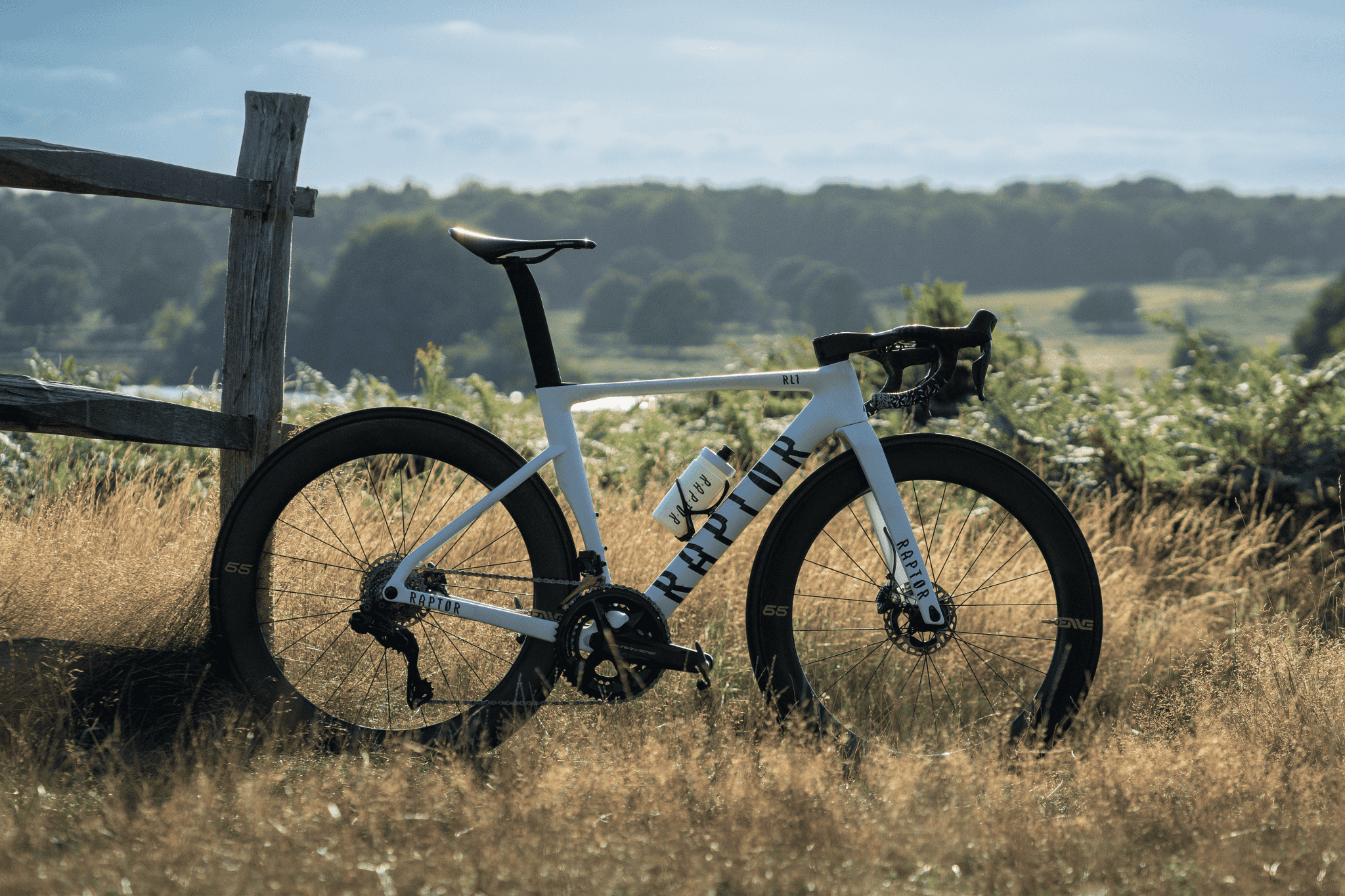 Raptor Rower Pro Raptor Bikes — London | Performance Bikes for the Fast and Curious.